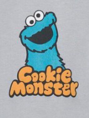 Snoopy & Cookie Monster- Zara Top Bundle